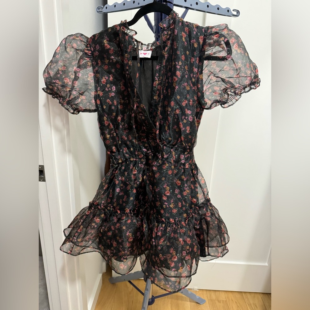 Buddy Love Clementine Organza Dress Small